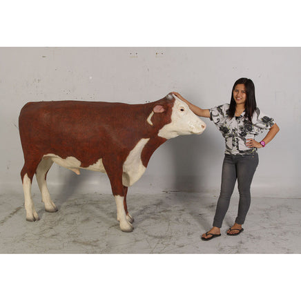 Hereford Steer Cow Life Size Statue - LM Treasures 