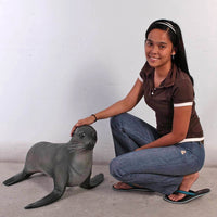Sea Lion Baby Seal Statue - LM Treasures 