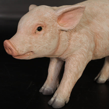 New Born Pig Life Size Statue - LM Treasures 