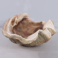 Clam Sea Shell Life Size Statue - LM Treasures 