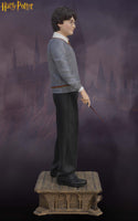 Harry Potter The Chamber of Secrets Daniel Radcliffe Life Size Statue - LM Treasures 