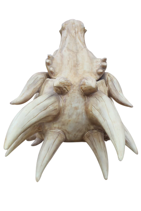 Jumbo Dragon Skull Life Size Statue - LM Treasures 