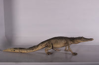 Walking Baby Crocodile Life Size Statue - LM Treasures 
