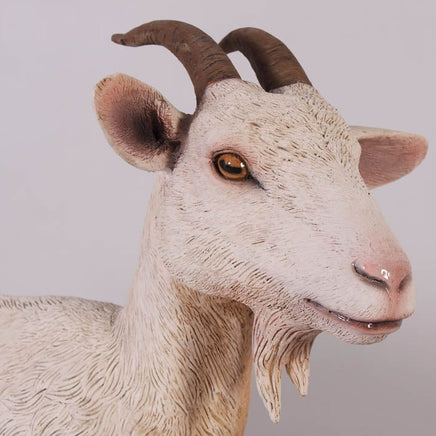 Cream Goat Life Size Statue - LM Treasures 