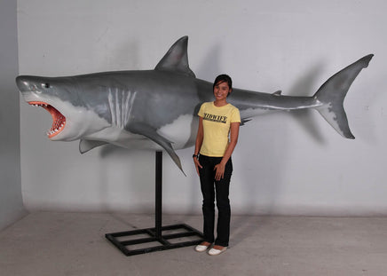 Great White Shark On Base Statue - LM Treasures 