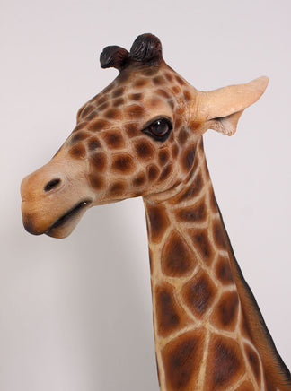 Baby Giraffe Life Size Statue - LM Treasures 
