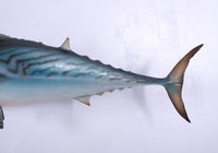 Mackerel Tuna Statue - LM Treasures 