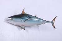 Mackerel Tuna Statue - LM Treasures 
