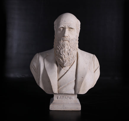 Darwin Stone Bust Life Size Statue - LM Treasures 