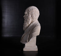 Darwin Stone Bust Life Size Statue - LM Treasures 