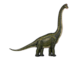 Brachiosaurus Dinosaur Wall Decor Life Size Statue - LM Treasures 