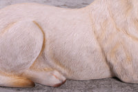 Tan Laying Labrador Life Size Statue - LM Treasures 