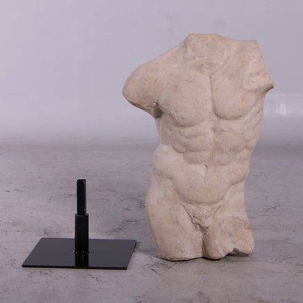 Andrea Male Stone Torso Life Size Statue - LM Treasures 