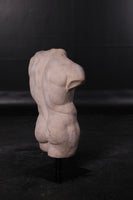 Andrea Male Stone Torso Life Size Statue - LM Treasures 