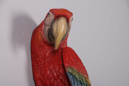 Scarlet Macaw Parrot Life Size Statue - LM Treasures 