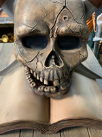 Pirate Skull On Book Over Sized Statue - LM Treasures 