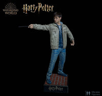 Harry Potter Silicone Head ONLY Life Size  (Daniel Radcliffe) - LM Treasures 