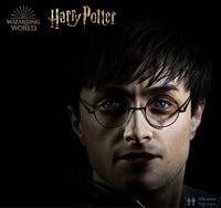 Harry Potter Silicone Head ONLY Life Size  (Daniel Radcliffe) - LM Treasures 