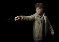 Harry Potter Life Size Statue (Daniel Radcliffe) - LM Treasures 