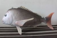 Snapper Fish Statue - LM Treasures 