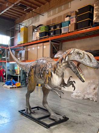 Australovenator Dinosaur Life Size Statue - LM Treasures 
