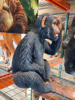 Monkey Max Chimpanzee Life Size Statue - LM Treasures 