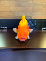 Orange Fish Statue - LM Treasures 