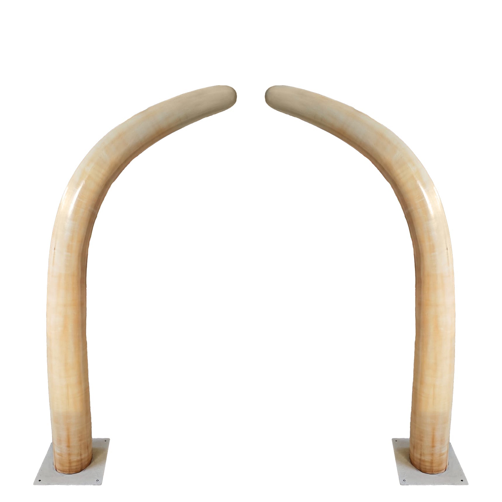 🦴 Dinosaur Ribs 5.5 ft Set — Life-Size Prehistoric Décor for Museums, Events & Themed Spaces