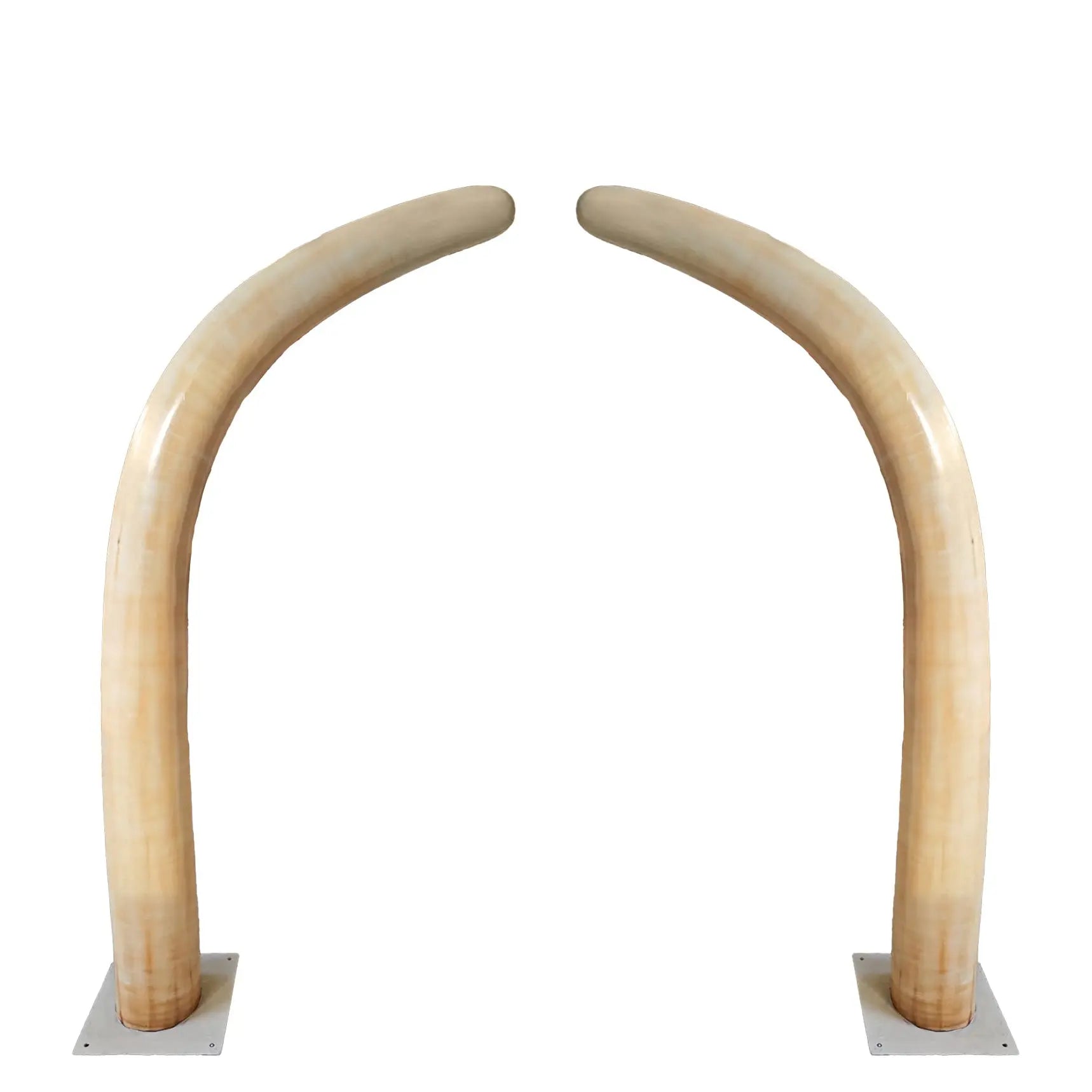 Dinosaur-Ribs-5.5-ft-Set-Life-Size-Prehistoric-Décor-for-Museums-Events-Themed-Spaces LM Treasures