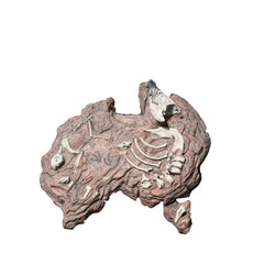 PREHISTORIC-FOSSILS-STATUES LM Treasures