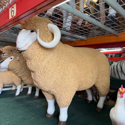 Merino Ram Life Size Statue