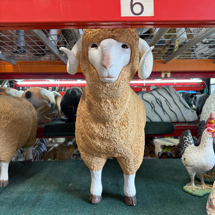 Merino Ram Life Size Statue