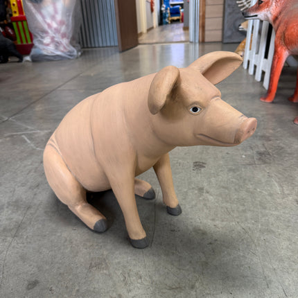 Baby Pig Sitting Life Size Statue