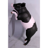 Curious Black And Pink Pig Life Size Statue - LM Treasures 