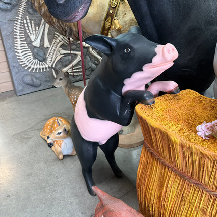 Curious Black And Pink Pig Life Size Statue