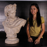 Julius Caesar Stone Bust Life Size Statue