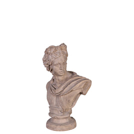 Julius Caesar Stone Bust Life Size Statue