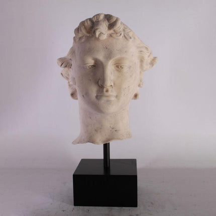 David Head Life Size Statue
