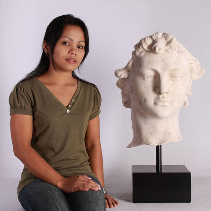 David Head Life Size Statue
