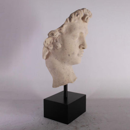 David Head Life Size Statue