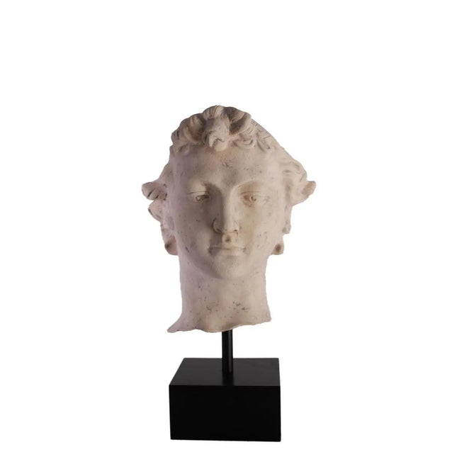 David Head Life Size Statue LM Treasures - H