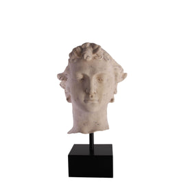 Stone David Head Life Size Statue - LM Treasures 