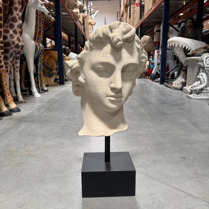 David Head Life Size Statue LM Treasures - H