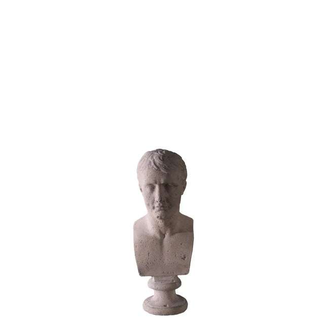 Napoleon Bonaparte Bust Statue LM Treasures - H