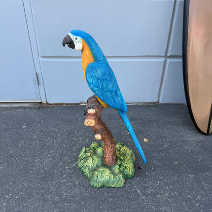 Blue Gold Macaw Parrot On Branch Life Size Statue