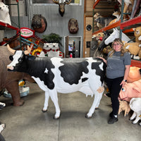 Large Holstein Cow Life Size Statue - LM Treasures 