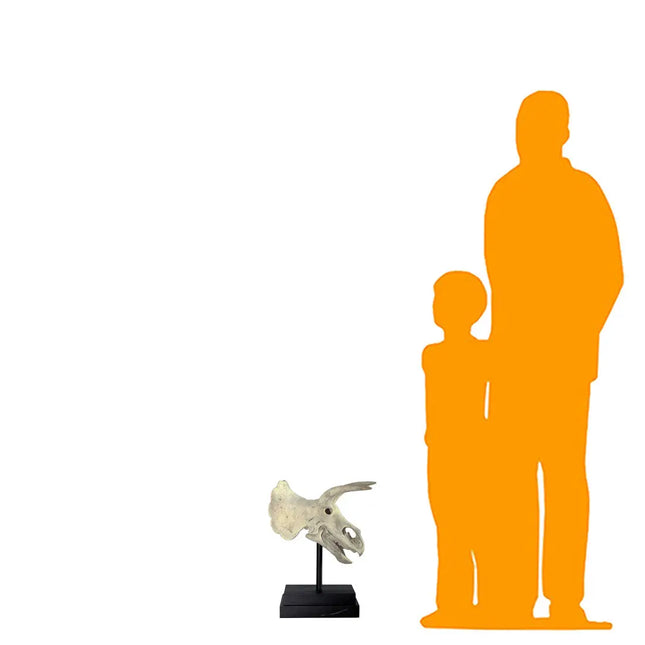 Triceratops Dinosaur Skull Statue LM Treasures - H