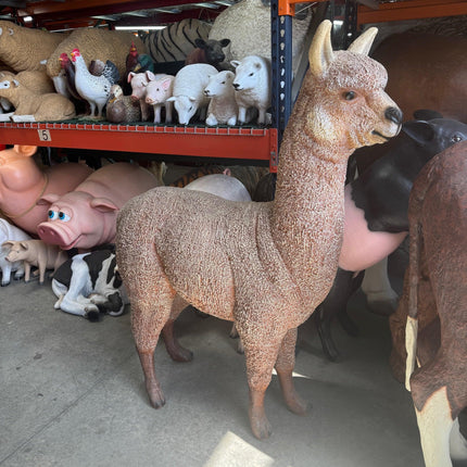Alpaca Life Size Statue