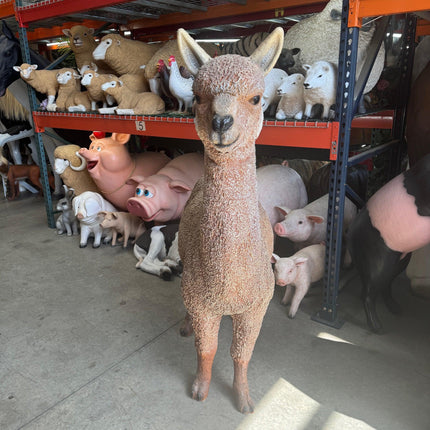 Alpaca Life Size Statue