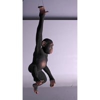 Monkey Chimpanzee Hanging Life Size Statue - LM Treasures 